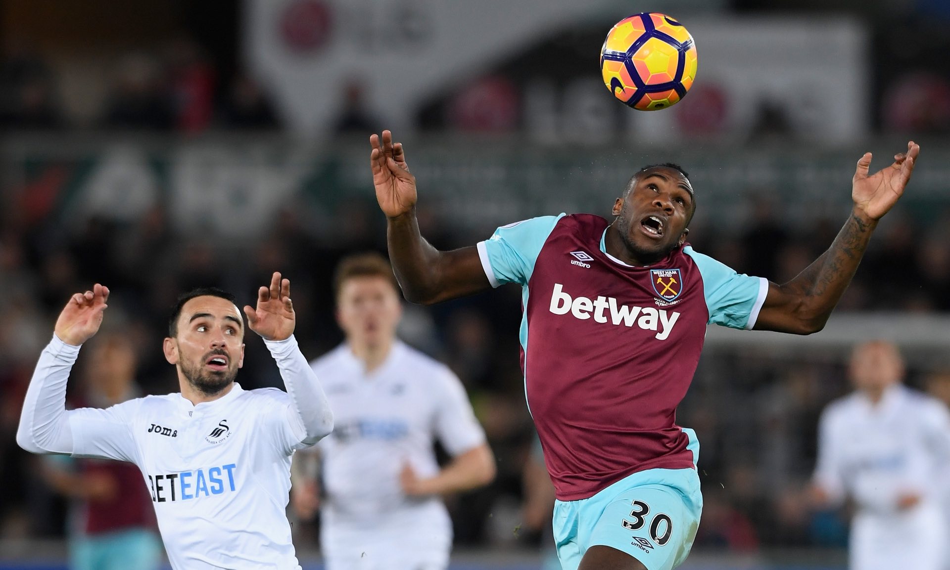 迷们看到了 迷们看到了